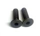 Screw set for CZC Thumb Rest attached to CZC Side Scope Mount. 2 x Screws